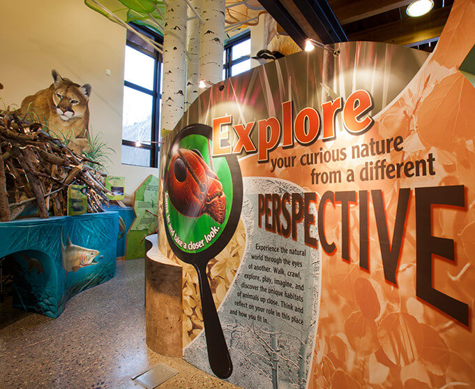 Interactive museum display