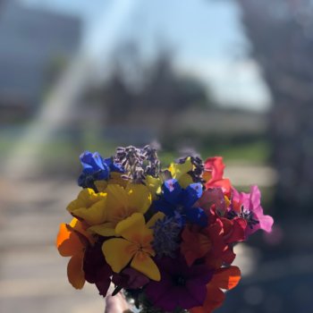 community garden bouquet