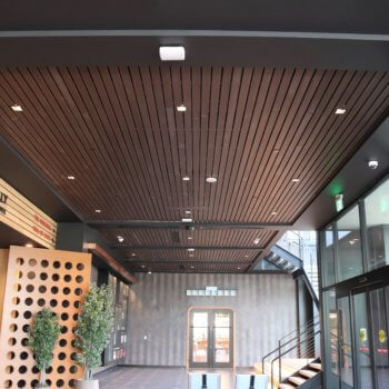 Custom Ceiling Panels